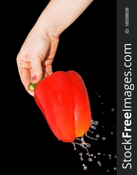 Red pepper in a female hand with a spray of water, isolated on black background