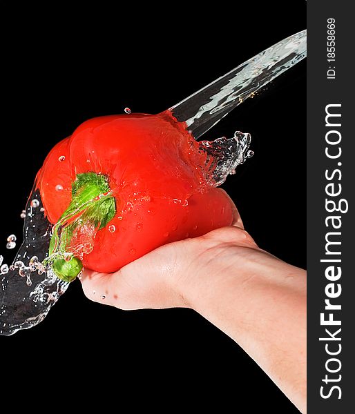 Red pepper in a female hand with a spray of water, isolated on black background