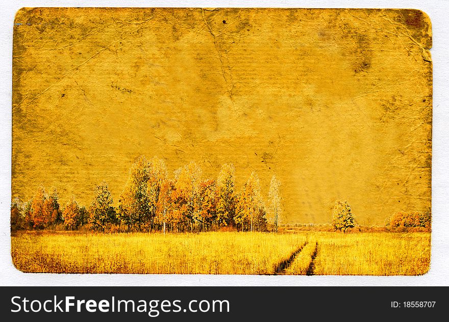 Autumn forest on grunge background