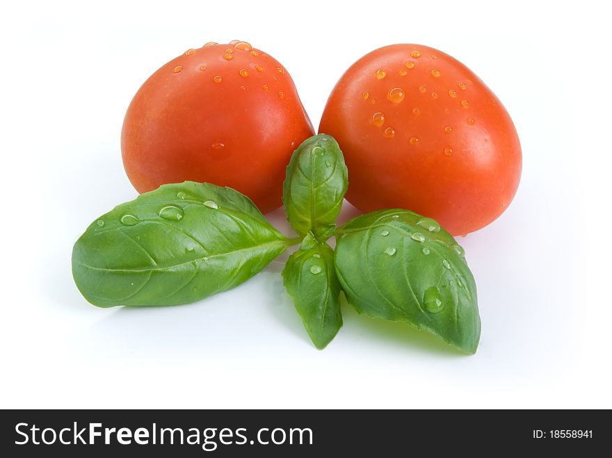 Basil leaves and tomatoes isolated on white background. Basil leaves and tomatoes isolated on white background