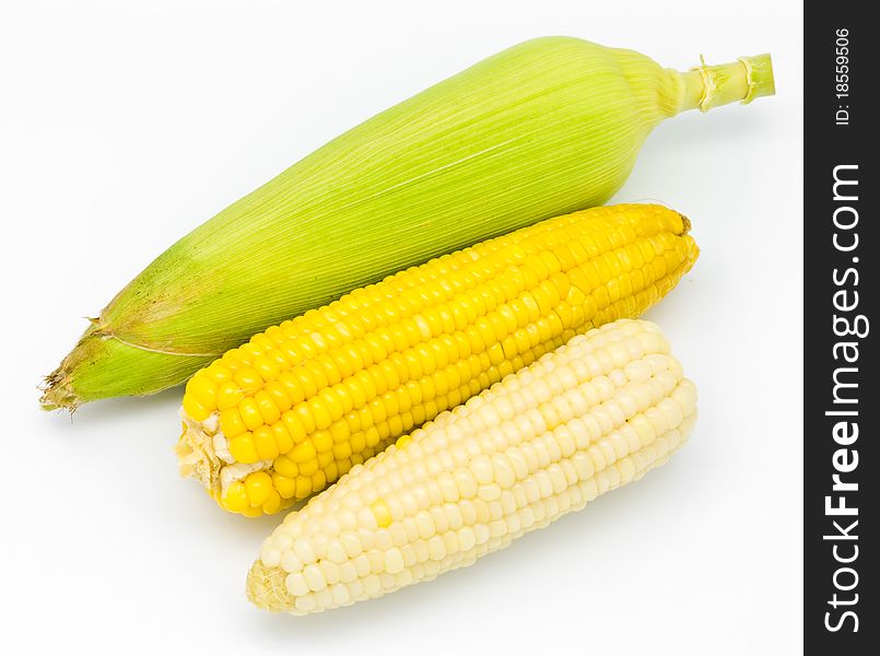 Fresh corn on white background