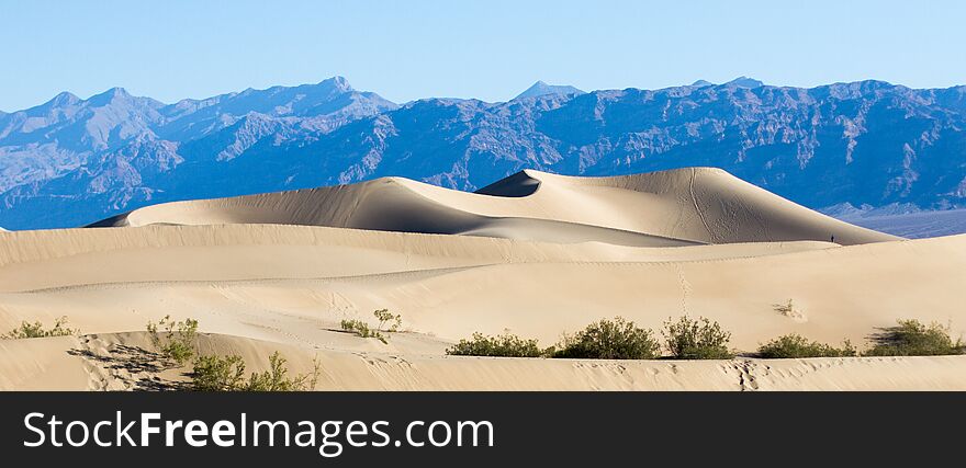 Deep blue mountains form a backdrop to panoramic sand dunes at Mesquite Flat Sand Dunes, Death Valley