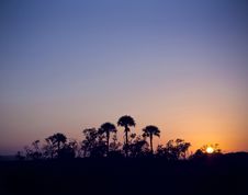 Island Of Palm Trees Silhouette At Sunset Stock Images Island Of Palm Trees Silhouette At Sunset Stock Images