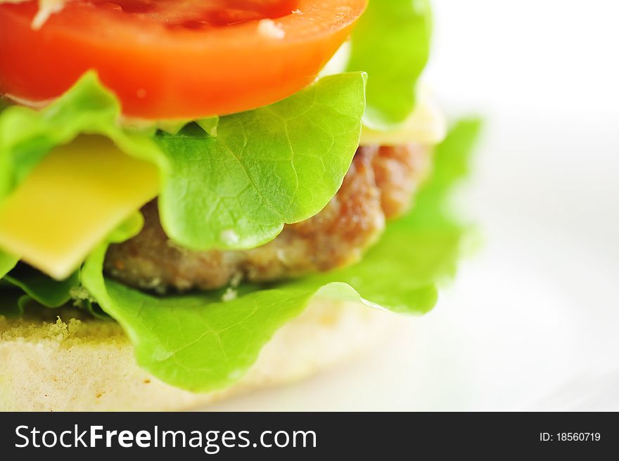Hamburger with vegetables close up