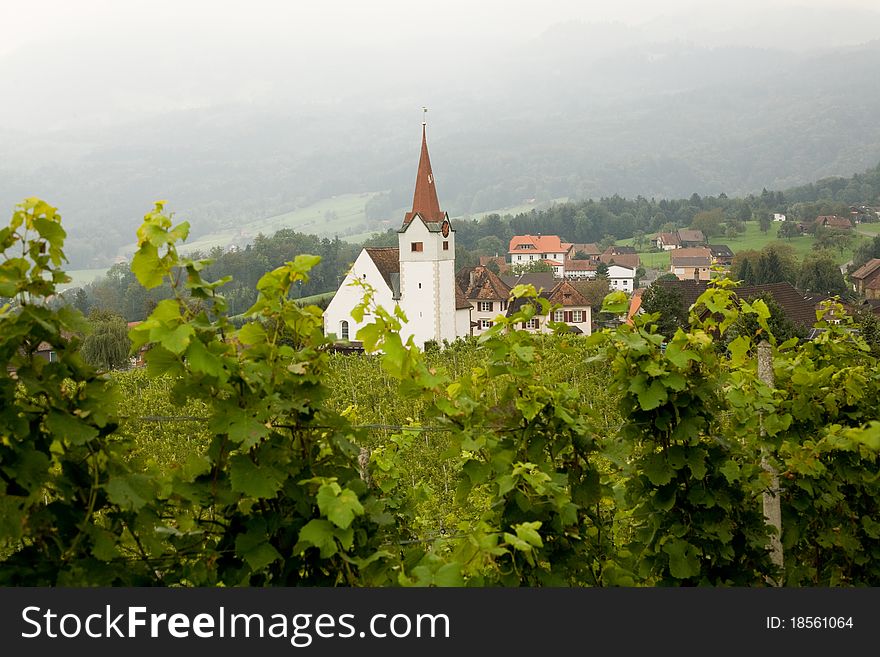 An image of church in the vineyard. An image of church in the vineyard