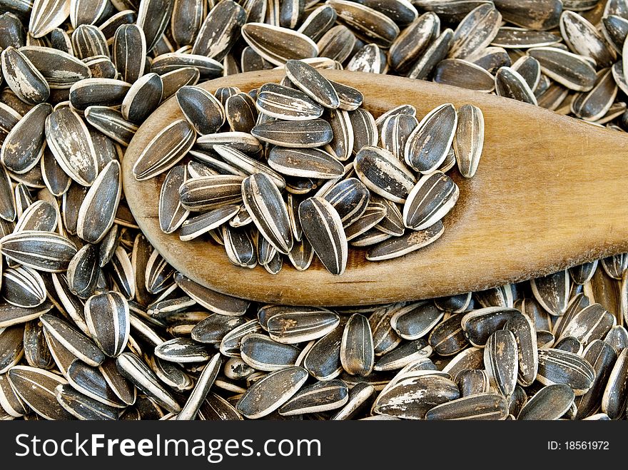 Sunflower seeds macro photography background