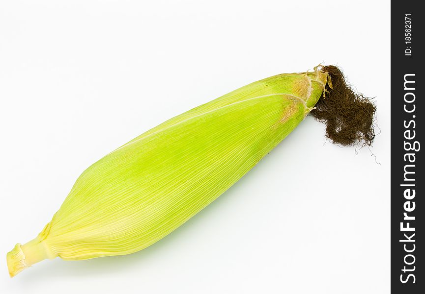 Fresh corn on white background
