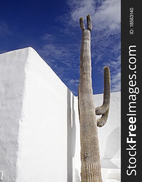 An image of the Cesar Manrique's museum in Lanzarote, Spain. An image of the Cesar Manrique's museum in Lanzarote, Spain.