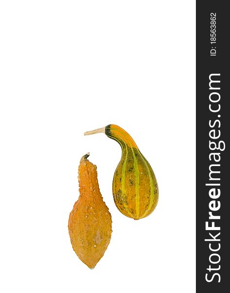 Two mottled ornamental pumpkins isolated on a white background. Two mottled ornamental pumpkins isolated on a white background