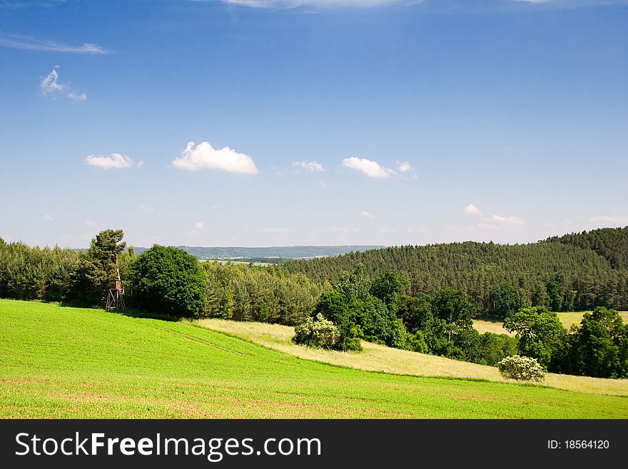 Landscape Thuringia in Summer with fild, Forest and blue sky