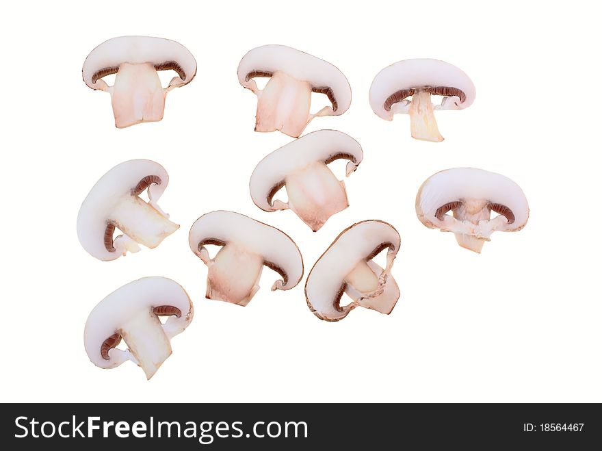 Biological mushrooms product on plain on white background