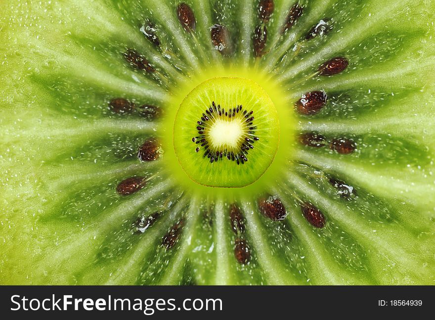 Unique part of fruit of a kiwi against a close up. Unique part of fruit of a kiwi against a close up