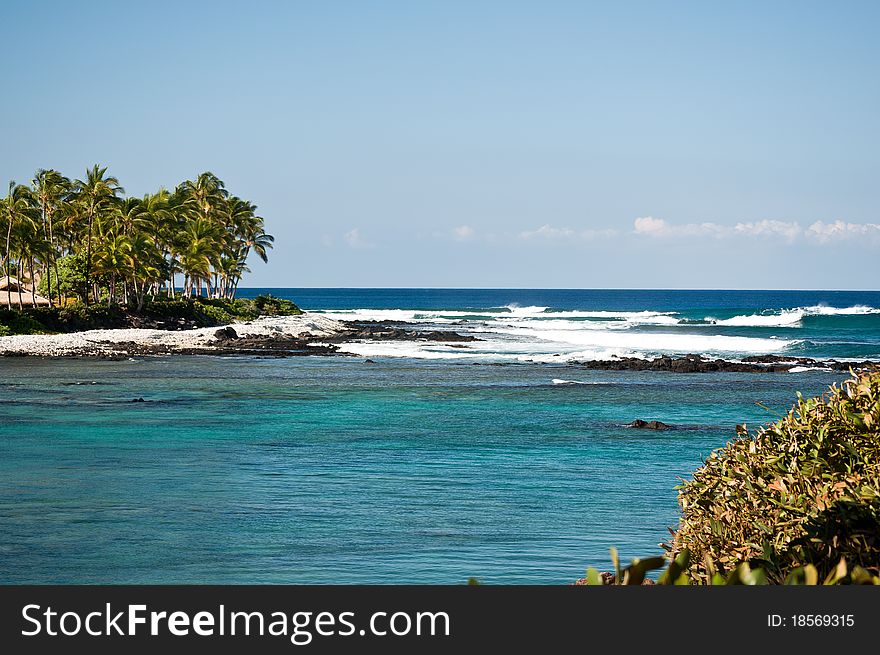 Many palms are visible just across this tropical cove. Many palms are visible just across this tropical cove.