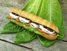 Mediterranean Baguette With Olives Stock Photo Mediterranean Baguette With Olives Stock Photo
