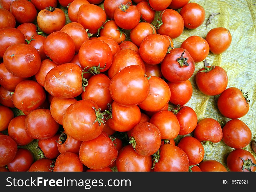 Tomatoes are a special favorite vegetables one.
