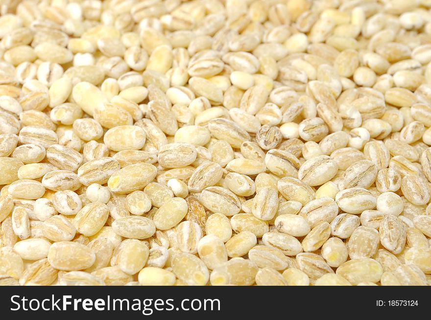 A close-up shot of pearl barley (can be used as a background)