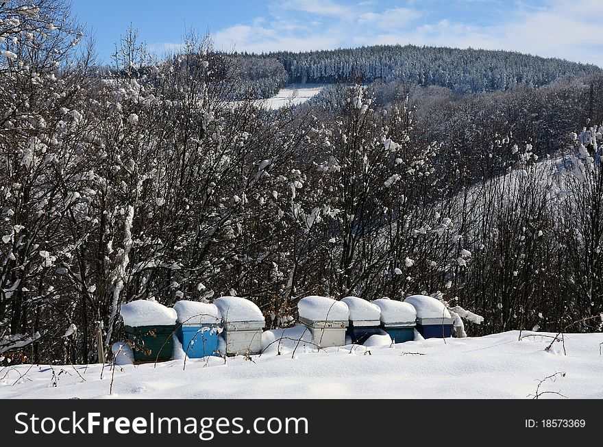 Beehives in the winter with the mountain in the background. Beehives in the winter with the mountain in the background