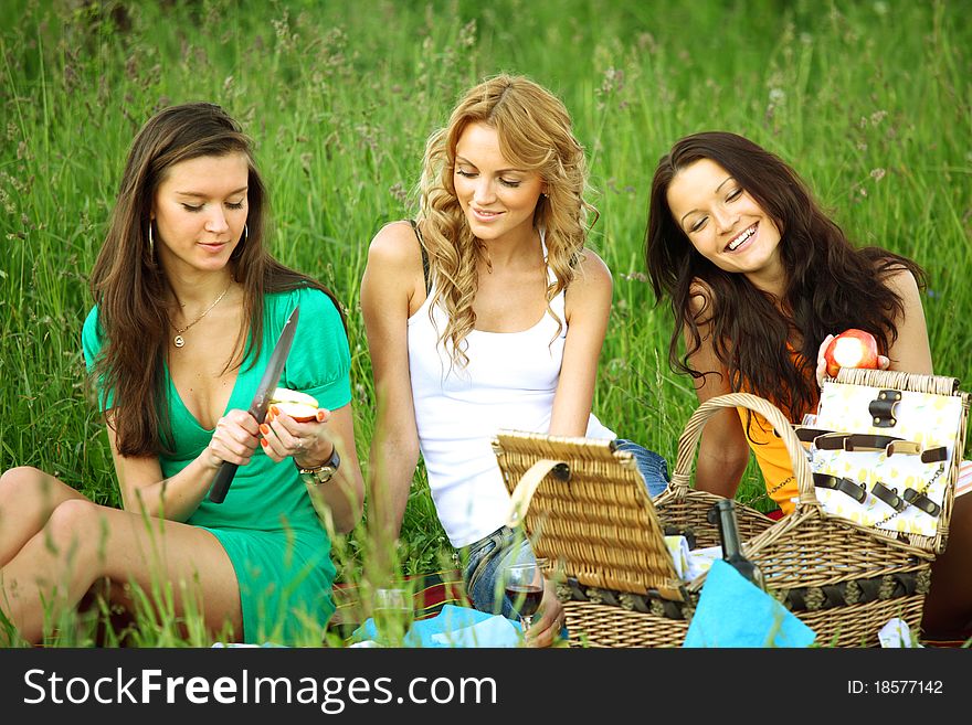 Very fun girlfriends on picnic