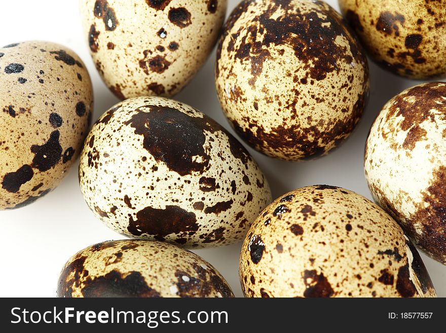 Quail egg background macro close up