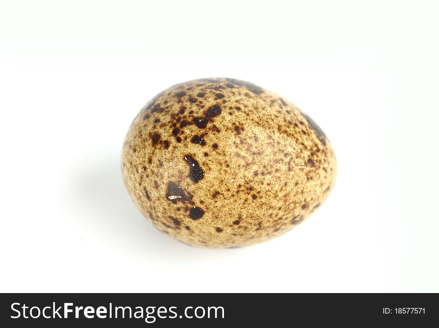 Quail egg background isolated macro close up