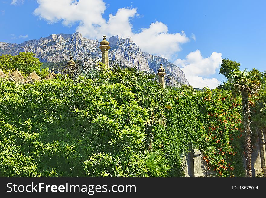 Crimean mountains wood and the beautiful nature