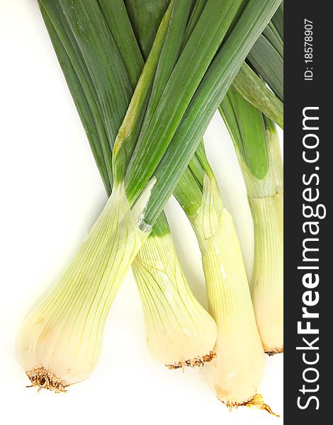 Large Spring Onions