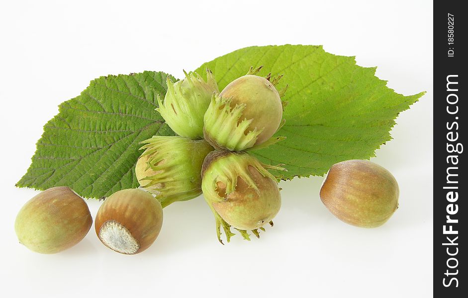 Group of ripe, wild hazelnuts with leaves