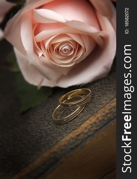 Gold rings on bible with roses. Gold rings on bible with roses