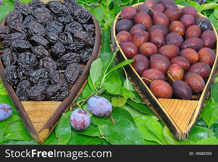 Assortment of plums and prunes cooked. Assortment of plums and prunes cooked