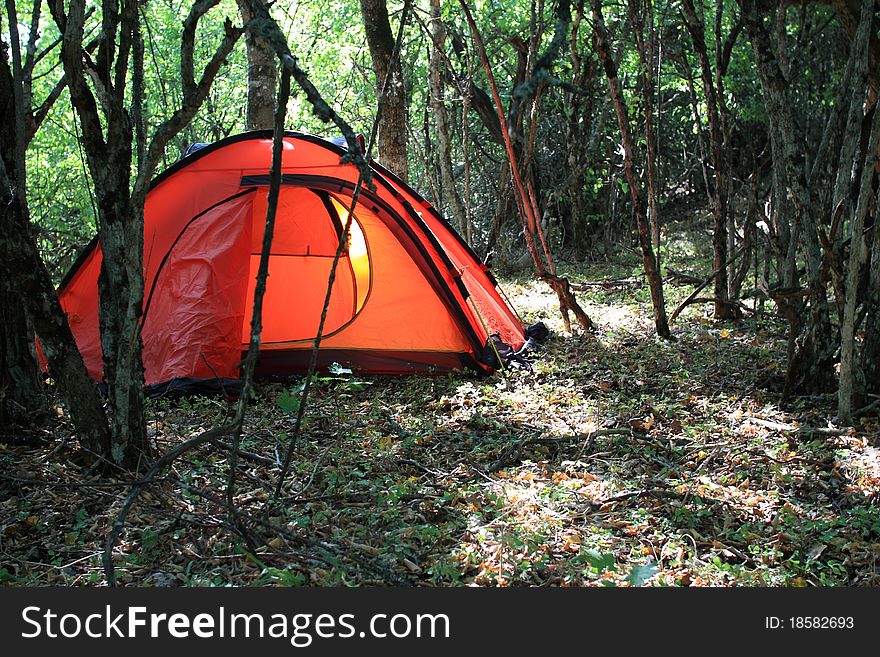 A tent is in jungles,the wild forest is in mountains