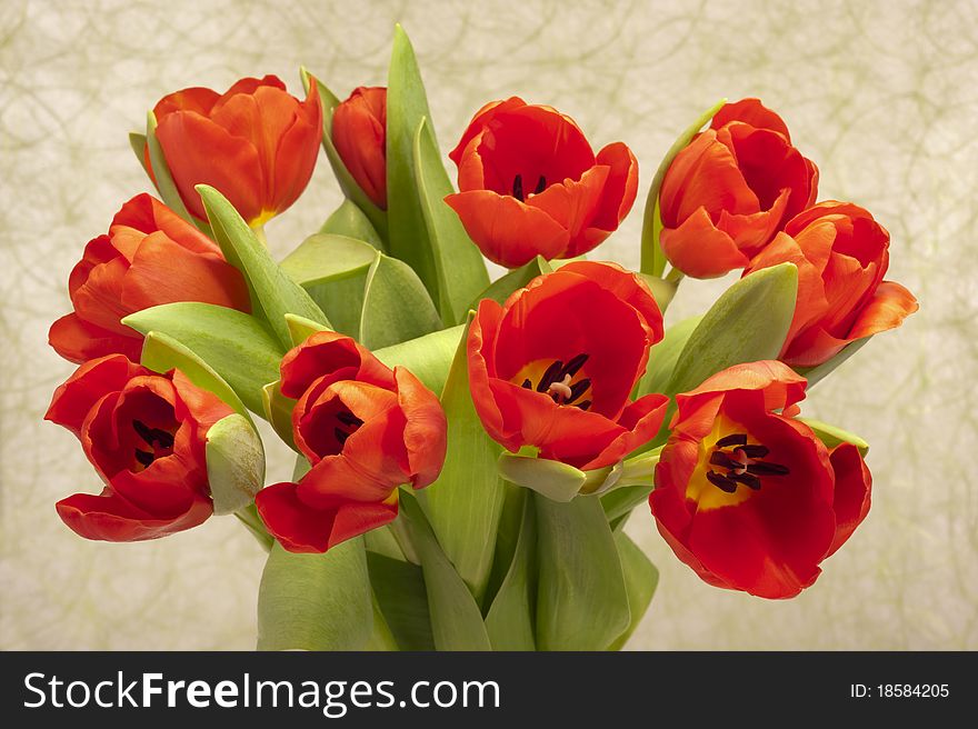 Bunch bouquet of easter tulip flowers. Bunch bouquet of easter tulip flowers