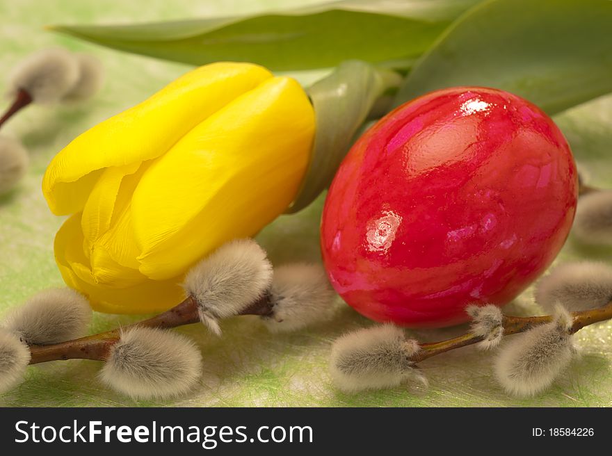 Tulip flower and easter egg with catkin. Tulip flower and easter egg with catkin