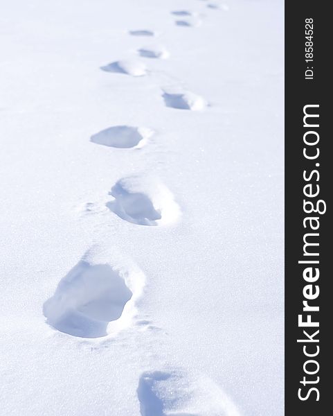 Footstep on snow. Conceptual composition.