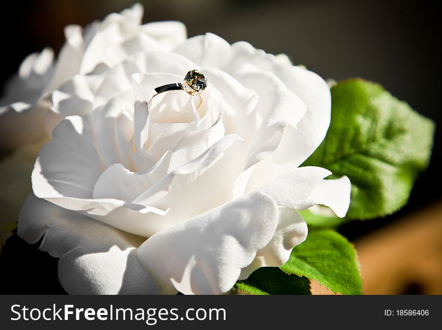 Wedding ring in the white rose flower. Wedding ring in the white rose flower