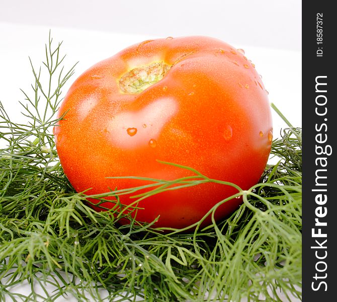 Tomato and dill on white background (close up). Tomato and dill on white background (close up)