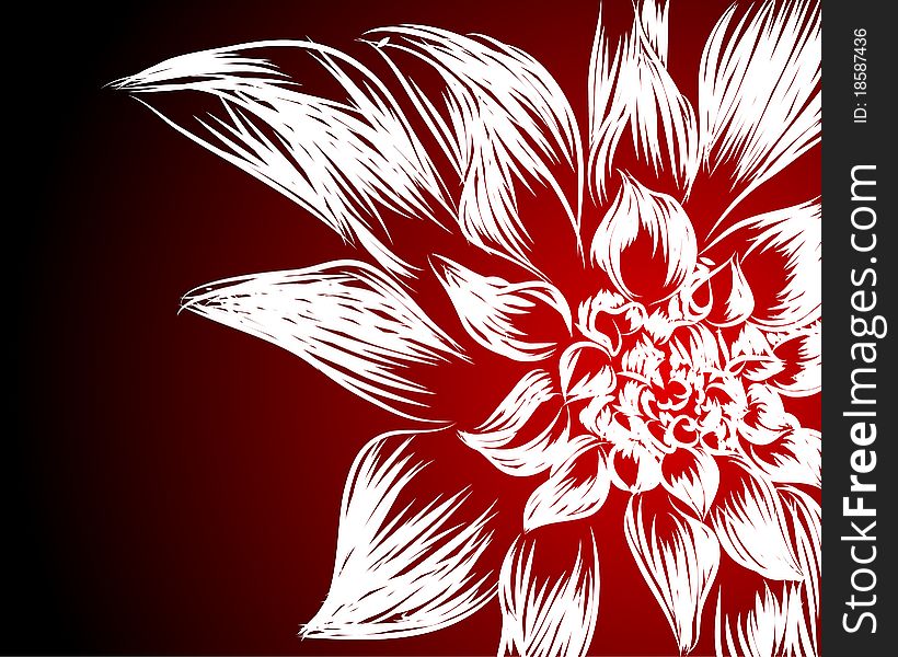 Beautifull flowers on black-red background (illustration)