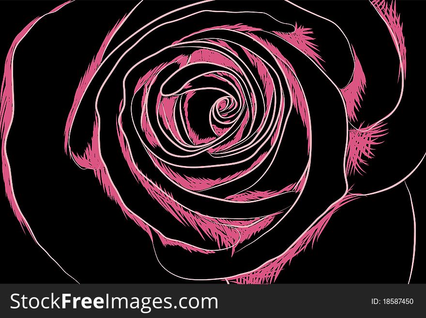 Beautifull  flowers on black background (illustration)