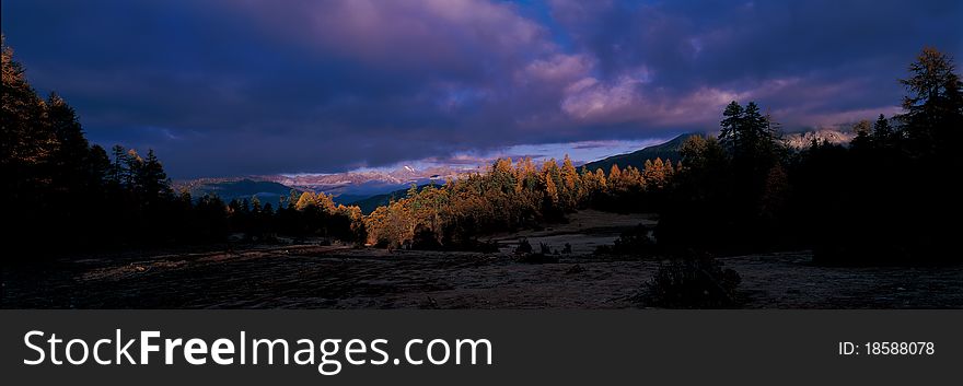 Quiet forest, view in Tibet