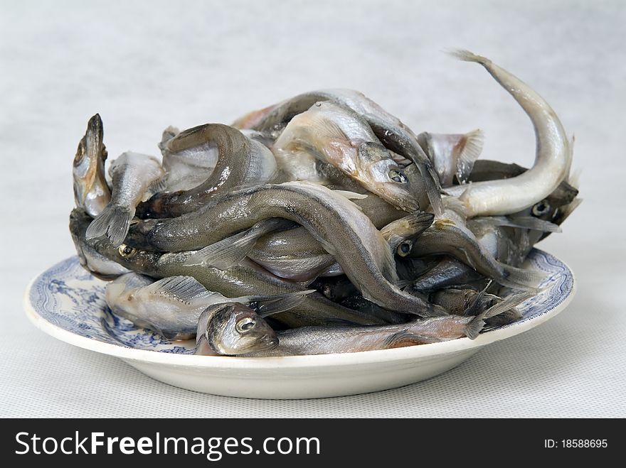 Fish in a bowl on a white background