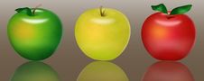 Varicoloured Apples Royalty Free Stock Image Varicoloured Apples Royalty Free Stock Image