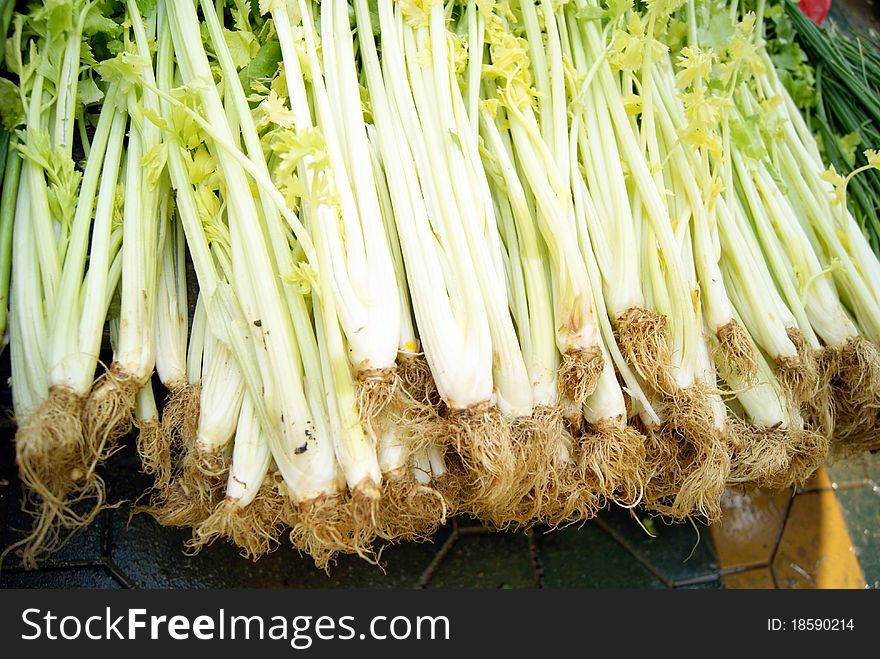 Celery, very fresh, put in the market for sale. Celery, it is people like to eat vegetables one.