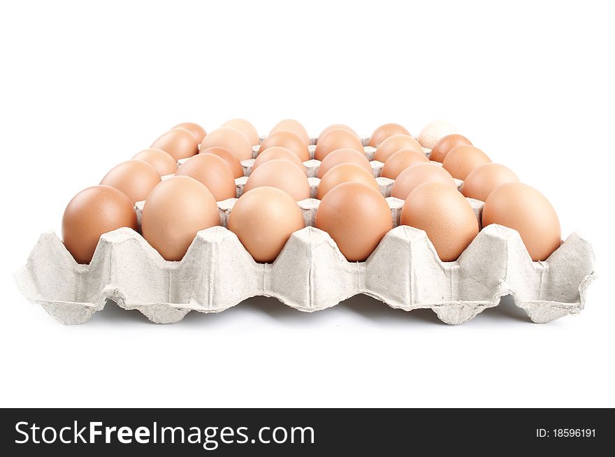 Many eggs in a carton on a white background