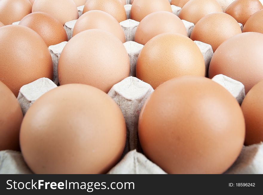 Eggs in a carton in a white background
