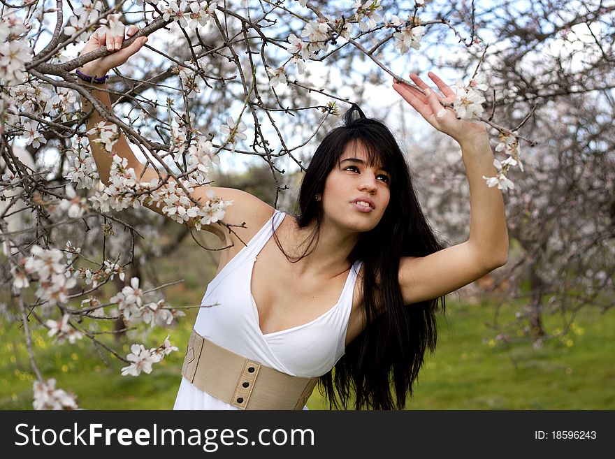 View of a beautiful girl on a white dress on a green grass field next to a almond tree. View of a beautiful girl on a white dress on a green grass field next to a almond tree