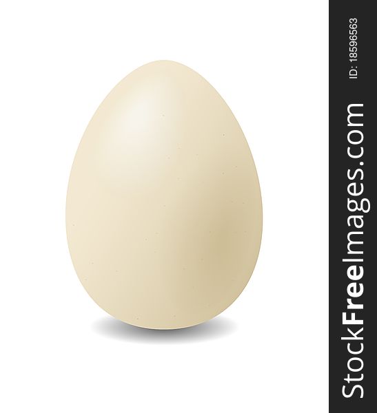 Egg on a white background is shown in the picture. Egg on a white background is shown in the picture.