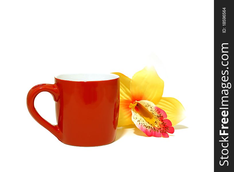 Red cup and yellow flower isolated on white