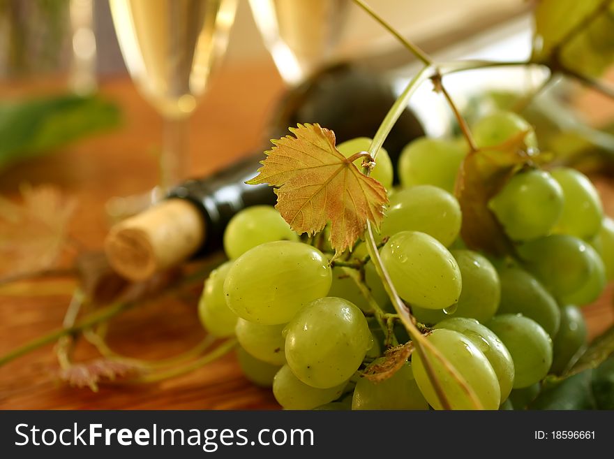 Fresh grapes, vine and vine bottle