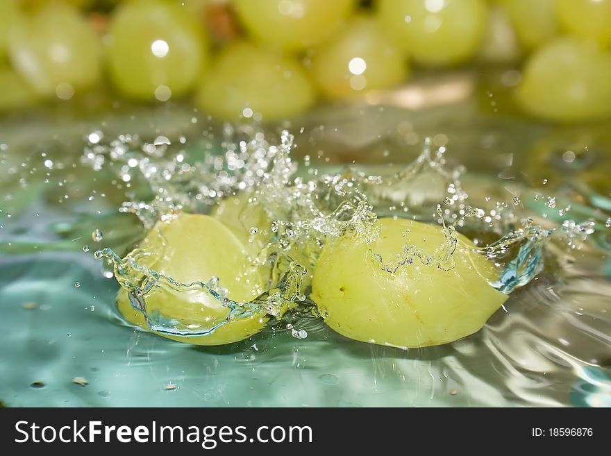 Fresh grapes splashing into water. Fresh grapes splashing into water.