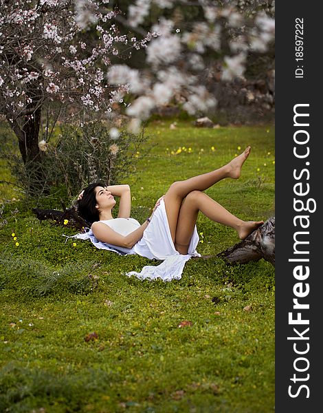 View of a beautiful girl on a white dress on a green grass field next to a almond tree. View of a beautiful girl on a white dress on a green grass field next to a almond tree