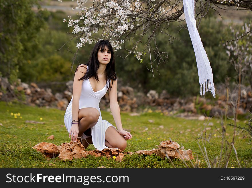 View of a beautiful girl on a white dress on a green grass field next to a almond tree. View of a beautiful girl on a white dress on a green grass field next to a almond tree